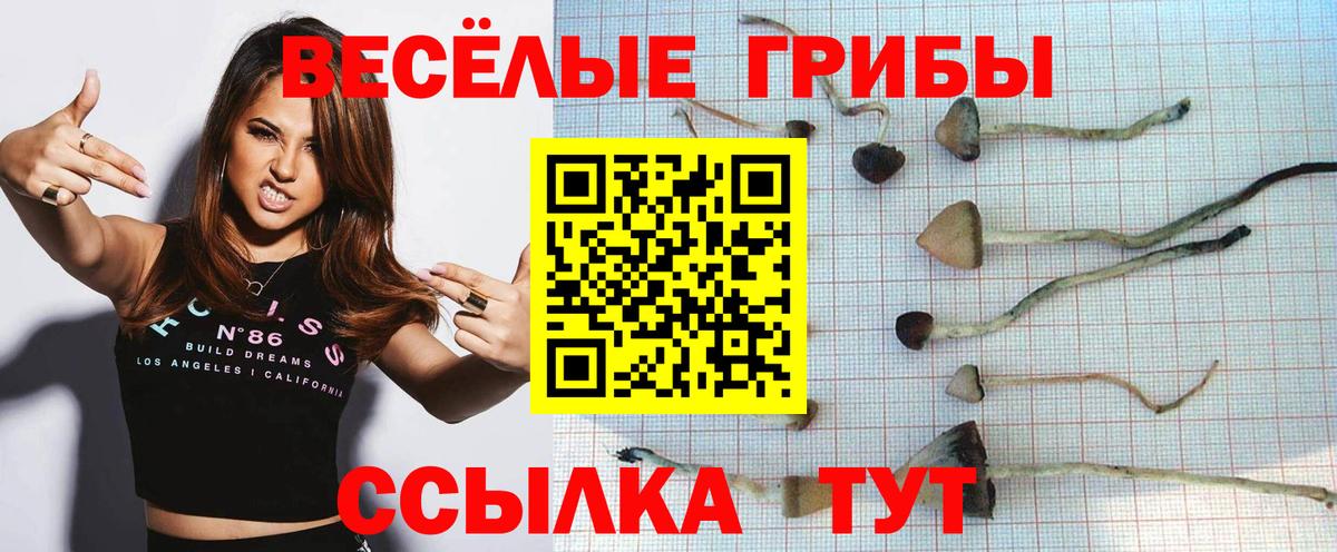 Галлюциногенные грибы мицелий  Вход с VPN  Норильск  Галлюциногенные грибы GOLDEN TEACHER 