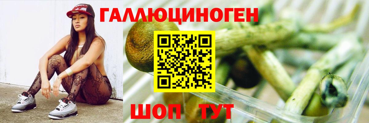 Псилоцибиновые грибы ЛСД Норильск